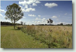 Burial Ground and Meadow